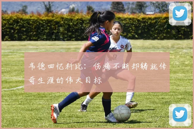 韦德回忆科比：伤痛不断却铸就传奇生涯的伟大目标
