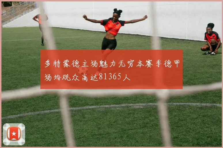 多特蒙德主场魅力无穷本赛季德甲场均观众高达81365人